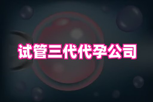 泉州助孕网 1